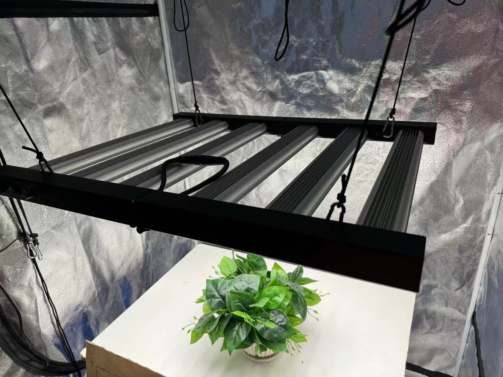 4x4 Grow Tent Complete Kit, In – Grow Tent 4X4 Bewertung und Preis